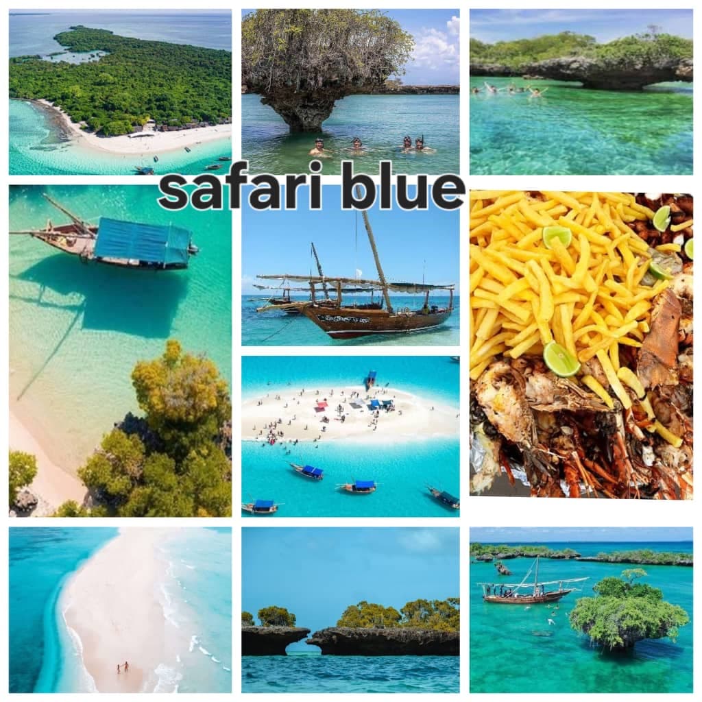 SAFARI BLUE